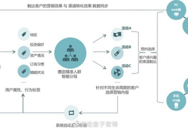 开云体育官网用户生命周期管理策略与体育博彩留存